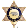 Blue Cancer Connect - LA Sheriff Badge Image